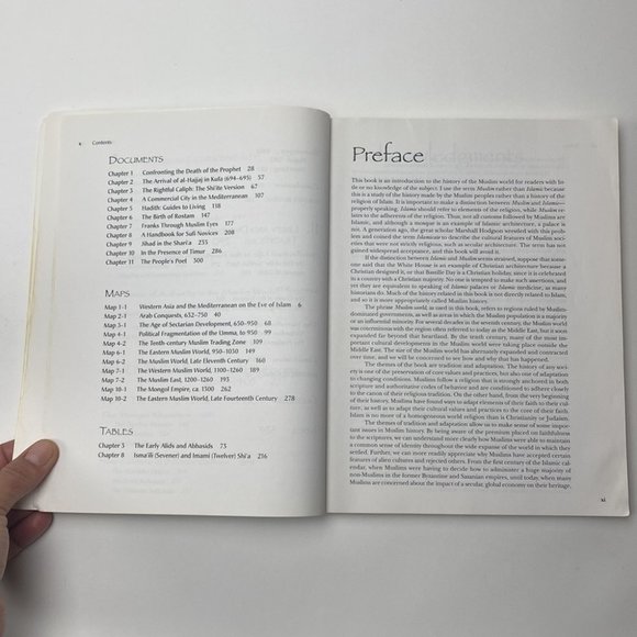 The History of the Muslim World to 1405 by Vernon O. Egger - Picture 7 of 16